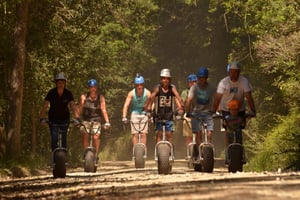 Кнысна: Приключение на скутере в лесу