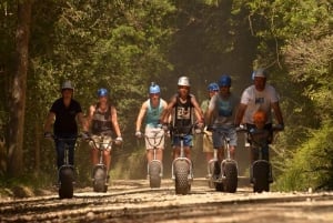 Knysna: Downhill Forest Scootour Adventure