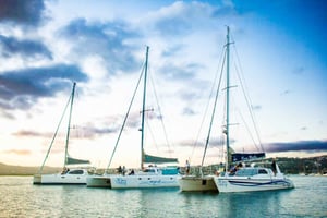 Knysna: Luksusowy katamaran Marine Adventure Tour