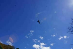 Plettenberg: Excursión de 2 horas en tirolina