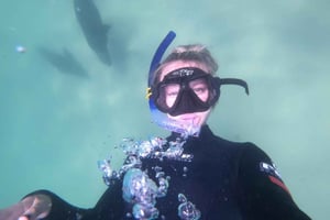 Plettenbergbaai: zeehondenzwemervaring