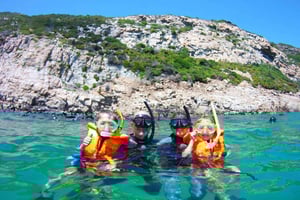 Плеттенберг-Бей: плавание с тюленями