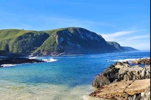 Tsitsikama National Park volledige dag: Port Elizabeth