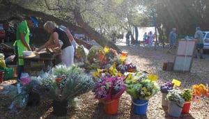 Wild Oats Community Farmers Market