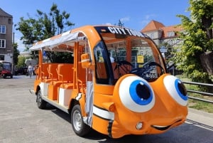 Gdansk : visite touristique approfondie de la ville - voiturette de golf écologique