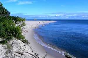 Discover Gdynia in Full Bloom: Springtime Delights