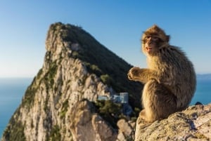 Gibraltar und Puerto Banús: Tagestour ab Málaga