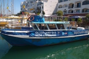 Gibraltar: VIP-Delfinbeobachtung auf einer Bootstour