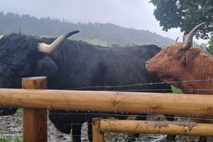 Jednodniowa wycieczka po Szkocji - najważniejsze atrakcje