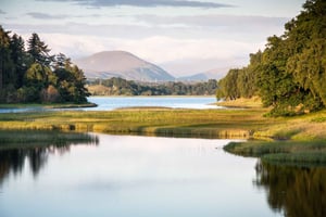From Inverness: Cairngorms National Park and Whisky Tour