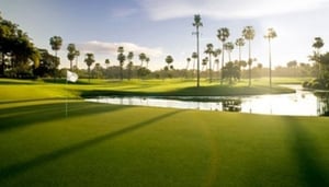 Above Par Golf Tours