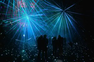 Astra Lumina Entry at Currumbin Wildlife Sanctuary