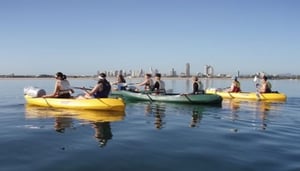 Australian Kayaking Adventures Tours