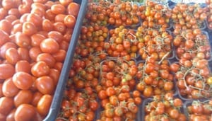 Bundall Farmers Markets