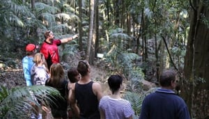 Bunyip Bike Tours