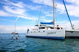 Brisbane: Halvdags seilcruise i Moreton Bay med antipasto