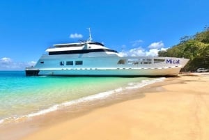 Vanuit Brisbane: Moreton Island hele dagtrip