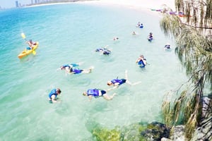 Gold Coast: kajak- en snorkeltour met visvoeren