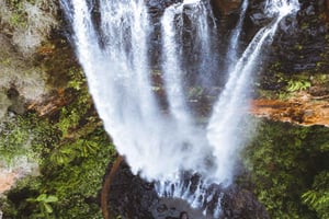 Gold Coast: dagtocht naar 6 watervallen, koala's en een natuurlijke brug