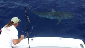 Gold Coast Fishing Charters.