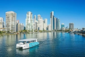 Gold Coast: Hopo Explorer Pass with Ferry and Transport
