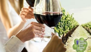 Mount Tamborine Vinsmakingsturer