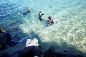 Gold Coast: Snorkling på Wave Break Island