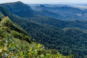 Spring Brook National Park rijtoer met een APP