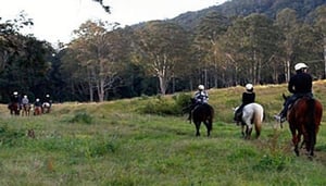 Numinbah Valley Adventure Trails (Horse Riding)