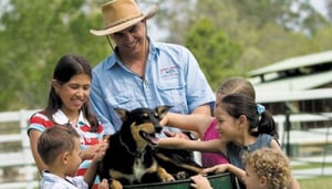 Paradise Country Aussie Farm Tour