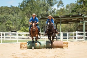 Paradise Country: Ultimate Aussie Farm Experience