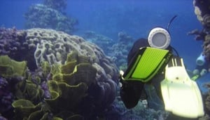 Queensland Scuba Diving Company