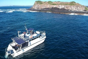 Gold Coast: Dykkeopplevelse i Cook Island Marine Reserve Scuba Experience