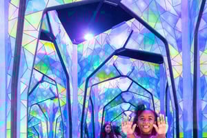 Surfers Paradise: Ripley's Believe It or Not! 3-х сторонний комбо