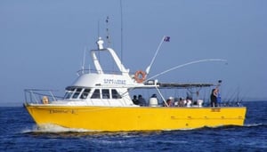 True Blue Fishing Charters