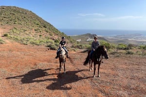 Excursión a caballo de 2 horas por las Montañas Verdes