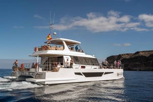 Gran Canaria: Tarde de Crucero en Catamarán con Comida y Bebida