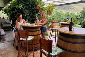 Gran Canaria: Best Wineries and Views Tour