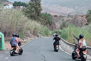 Gran Canaria: Los Pilancones Natural Park e-Scooter Tour