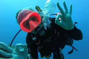 Gran Canaria: Scuba Diving for Beginners