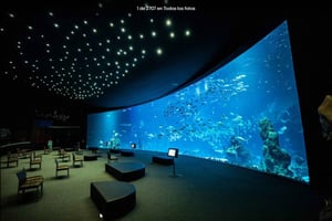 Gran Canaria: Tour to Poema del Mar and Port of Las Palmas