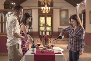 Gran Canaria: Winery Tour, Wine Museum, and Tasting