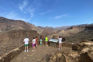 Gran Canaria ¡A POR LAS ALTURAS!: vinos de altura y almuerzo con tapas