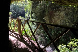 La Palma: North Island Bus Tour with Ron Aldea Distillery