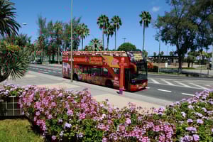 Las Palmas: City Sightseeing Hop-On Hop-Off Bus Tour