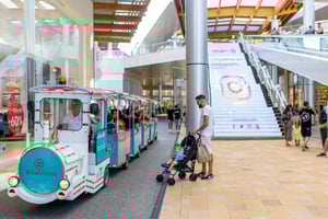 Tour de 1 día de turismo y compras en Las Palmas