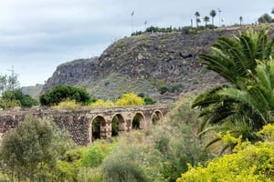 Northern Gran Canaria tour with botanical garden visit