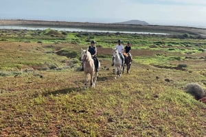1 hora de relajante excursión a caballo en Gran Canaria