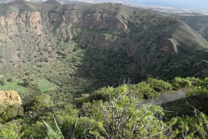 Privado Caldera de Bandama, Jardín Botánico(/Vino*), Casco Antiguo