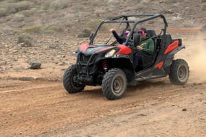 Puerto Rico de Gran Canaria: Offroad Buggy Tour